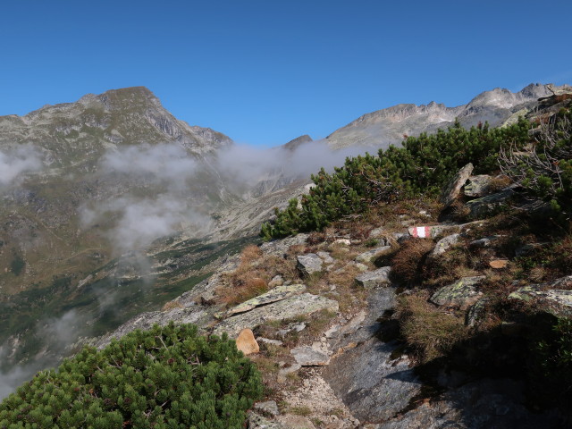 Wittener Weg zwischen Tauerntal und Hindenburghöhe (19. Sept.)