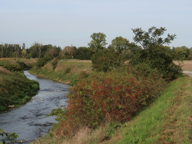 Mitterbach zwischen Himberg und Zwölfaxing