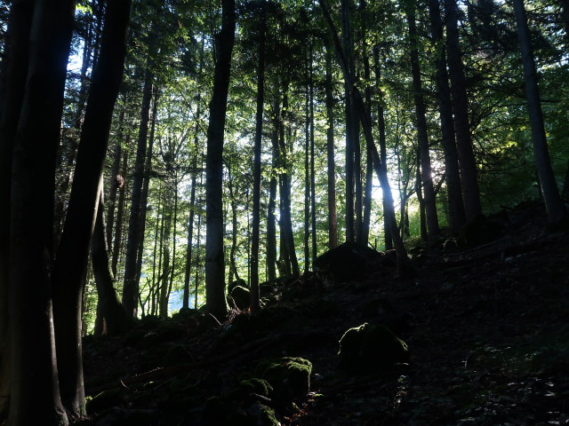 zwischen Zögersbach und Ratzeneck