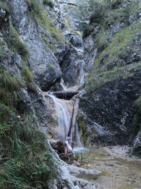 zwischen Sulzaustube und Rinnkogel