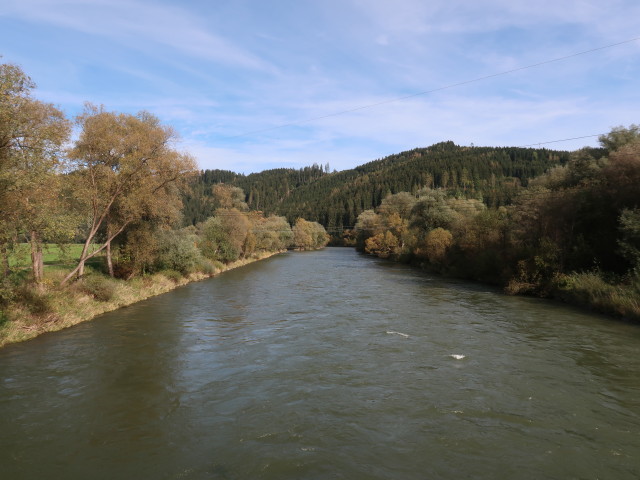 Mur bei Knittelfeld, 630 m (9. Okt.)