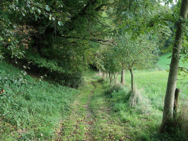 zwischen Spannagl und Tscherkl (10. Okt.)