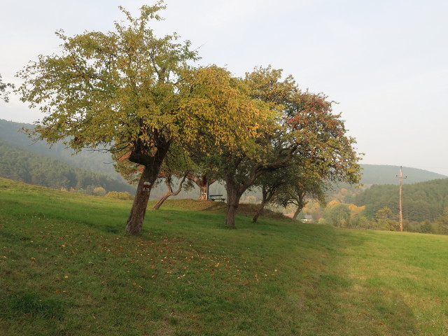 zwischen Warmer Lucken und Hintenburg