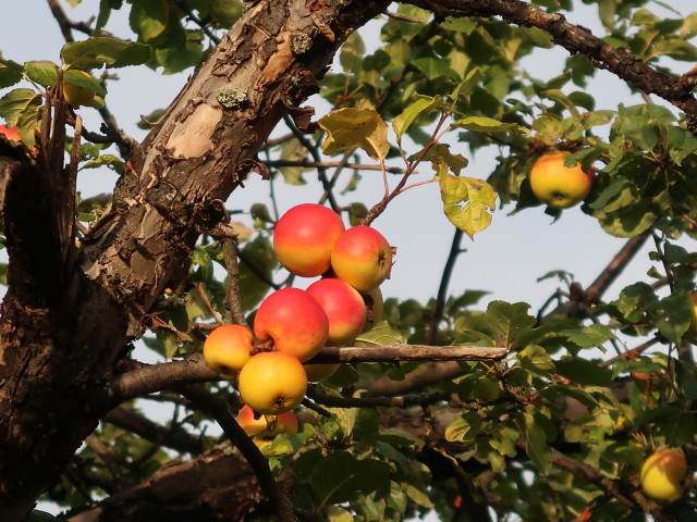 zwischen Warmer Lucken und Hintenburg