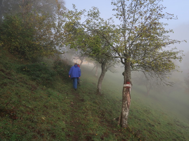 Maximilian und Anna zwischen Türnitz und Kalksöd