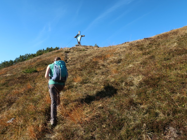 Sabine zwischen Zirnitzwald und Pleschberg