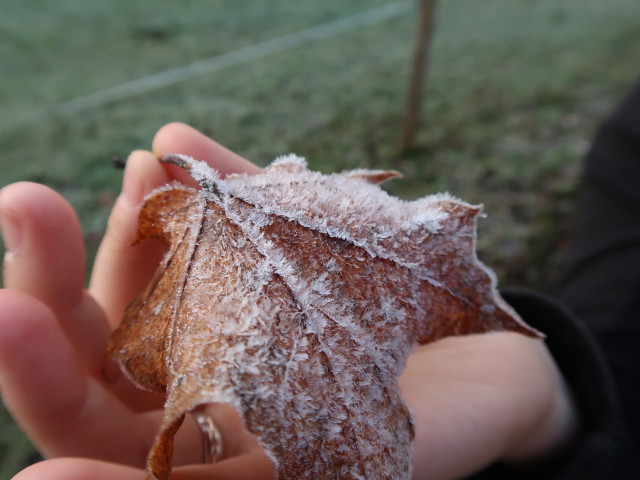 Sabine in Pernkopf (7. Nov.)