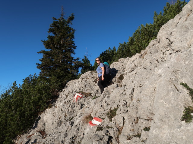 Sabine zwischen Gamskogel und Rohrauer Größtenberg (8. Nov.)