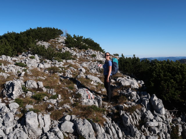 Sabine zwischen Rohrauer Größtenberg und Rottalsattel (8. Nov.)