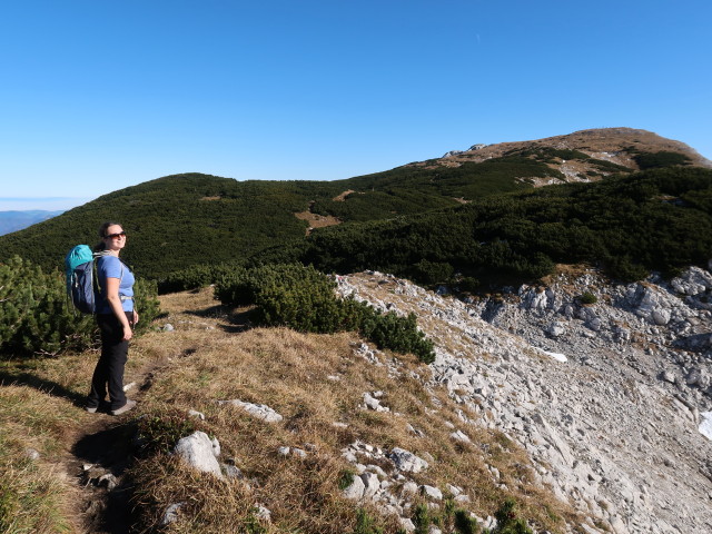 Sabine zwischen Schneeberg und Hohem Nock (8. Nov.)