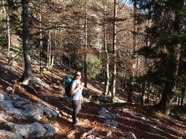 Sabine am Budergrabensteig zwischen Merkensteinbründl und Jagdhaus Rettenbach (8. Nov.)