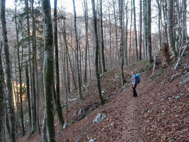 Sabine am Budergrabensteig zwischen Merkensteinbründl und Jagdhaus Rettenbach (8. Nov.)