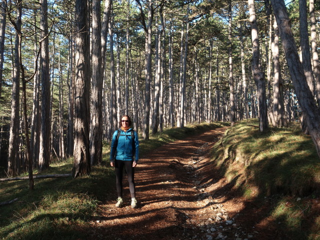 Carmen im Frangelnwald