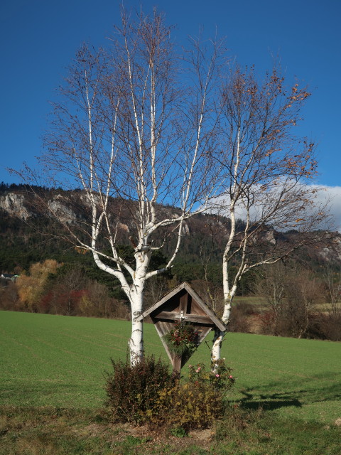 zwischen Gaaden und Maiersdorf