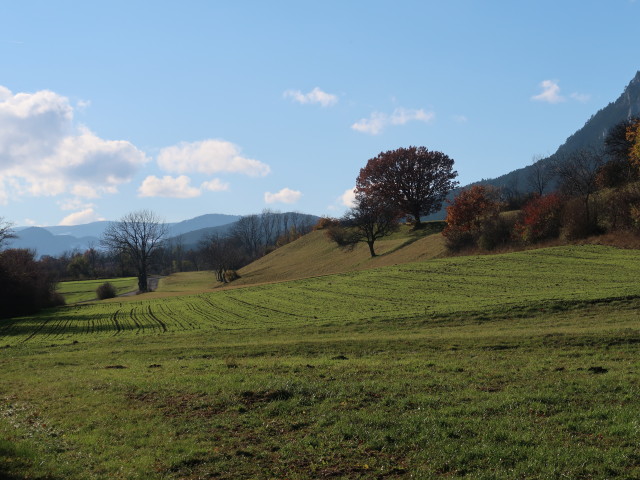 zwischen Gaaden und Maiersdorf