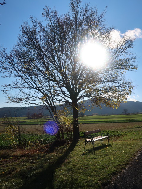 zwischen Gaaden und Maiersdorf