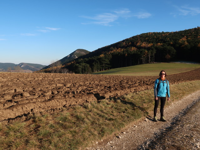 Carmen zwischen Zweiersdorf und Unterhöflein