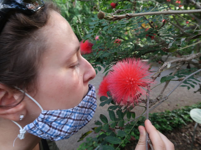 Sabine im Jardín Botánico in Puerto de la Cruz (23. Nov.)
