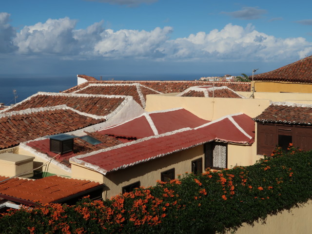 Icod de los Vinos (25. Nov.)