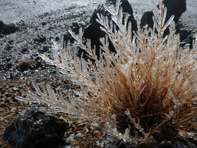 Parque Nacional del Teide (27. Nov.)