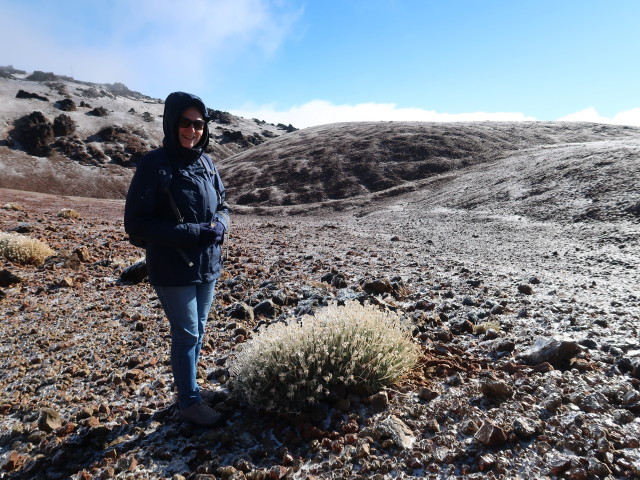 Sabine im Parque Nacional del Teide (27. Nov.)