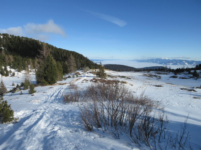 zwischen Großem Winterleitensee und Ochsenboden