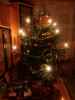 Weihnachtsbaum (24. Dez.)