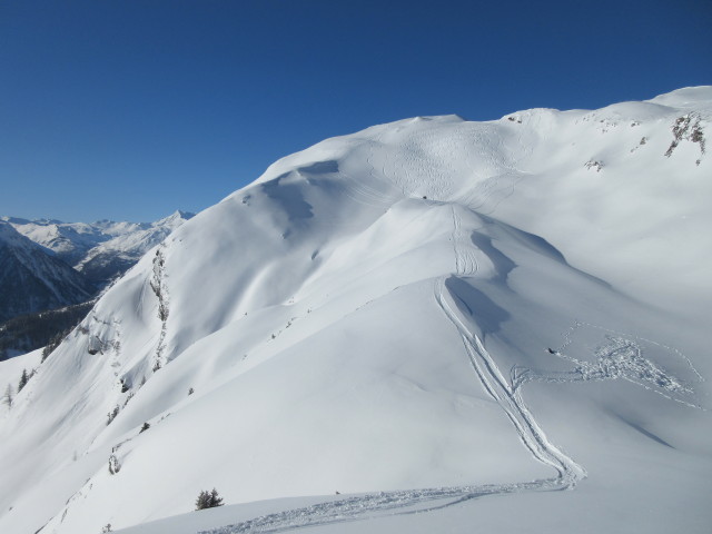 neben der Piste 'Gipfelbahn - Steinkar'
