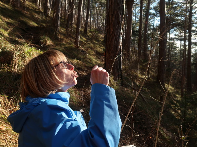 Mama zwischen Kühberg und Weissenbach an der Triesting