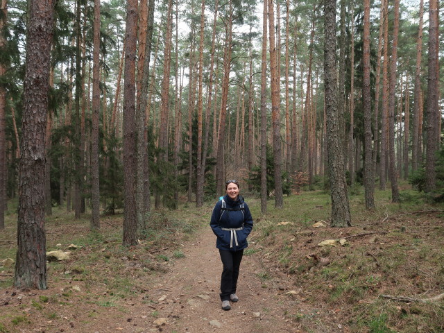 Sabine zwischen Eichberg und Schwarze Lacke
