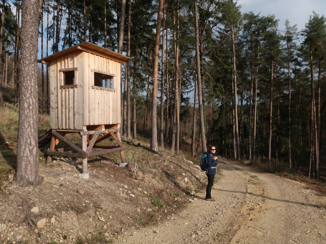 Sabine zwischen Schwarze Lacke und Paudorf