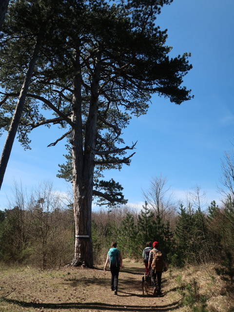 Sabine, Hannelore und Manuel zwischen Berndorf und Höhenberg