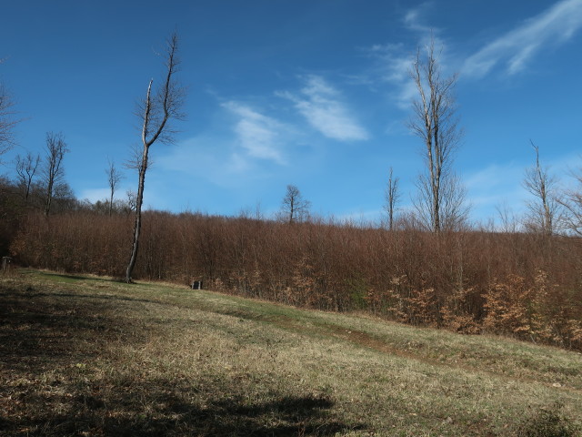 zwischen Berndorf und Höhenberg