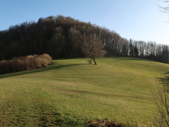 zwischen Staff und Staffhütte