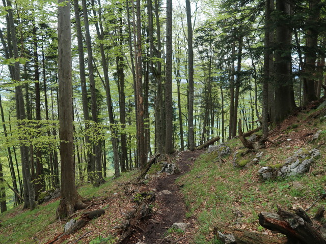 zwischen Großem Sonnstein und Sonnsteinhütte