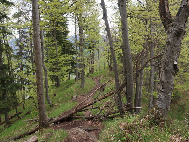 zwischen Großem Sonnstein und Sonnsteinhütte