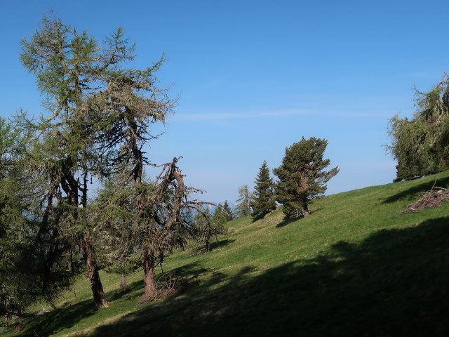 zwischen Zauchenhütte und Amberger Alm