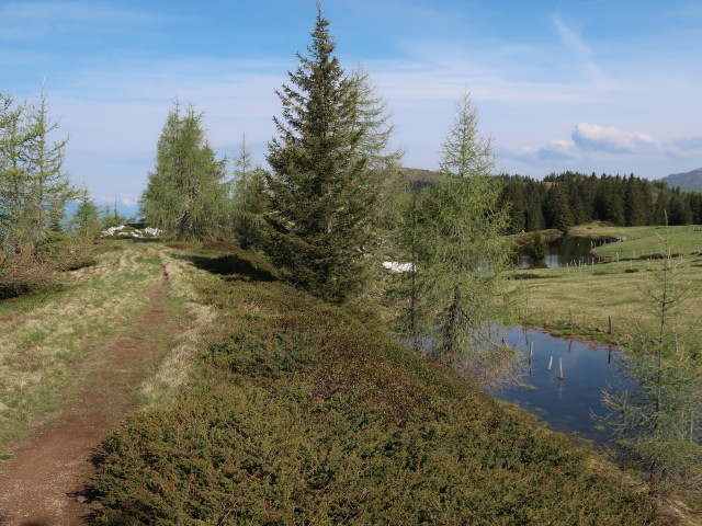 zwischen Kulnighütte und Schwarzsee