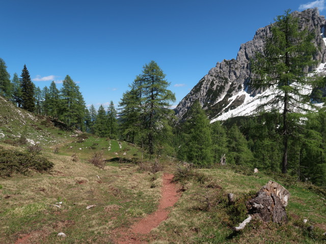 zwischen Kühweger Törl und Kühweger Alm