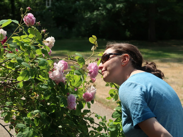 Sabine im Schlosspark Ludwigslust (20. Juni)