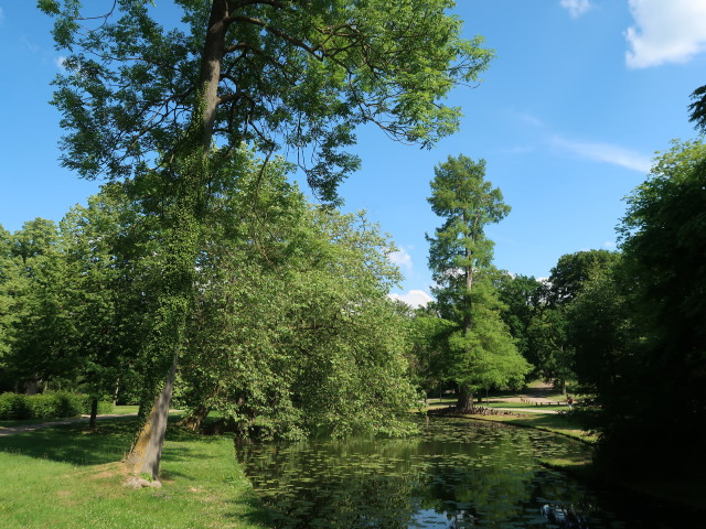Schlossgarten Schwerin (20. Juni)
