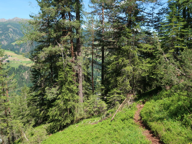 zwischen Kleinem Feuer am Bichl und Weidenbrünnl