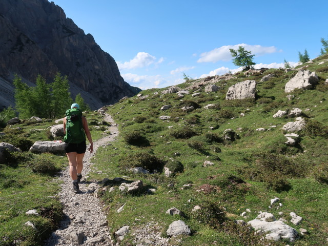 Ursa am Egerländerweg zwischen Karlsbader Hütte und Marcherstein