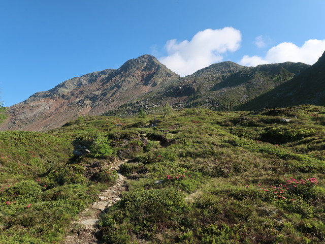 zwischen Pirkeralm und Seidernitztörl
