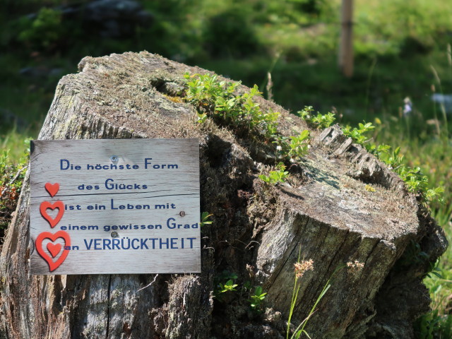 zwischen Ochsnerhütte und Parkplatz Leppner Alm