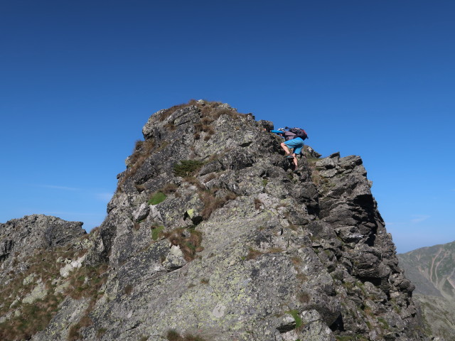 Herbert am Hirschkarlgrat (24. Juli)