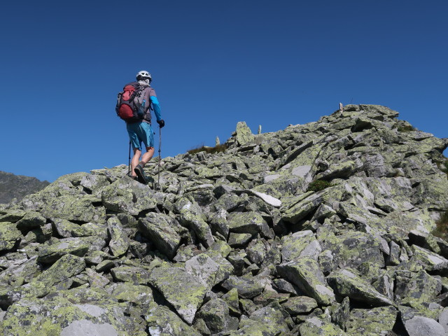 Herbert zwischen Hölltalsattel und Weißsattel (24. Juli)