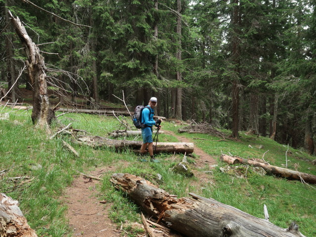 Herbert zwischen Saurücken und Ingeringsee (24. Juli)