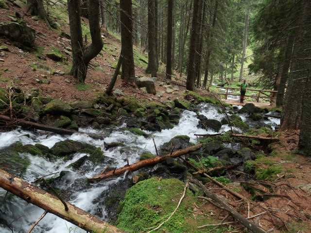 zwischen Saurücken und Ingeringsee (24. Juli)