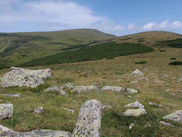 vom Repenstein Richtung Nordwesten (25. Juli)